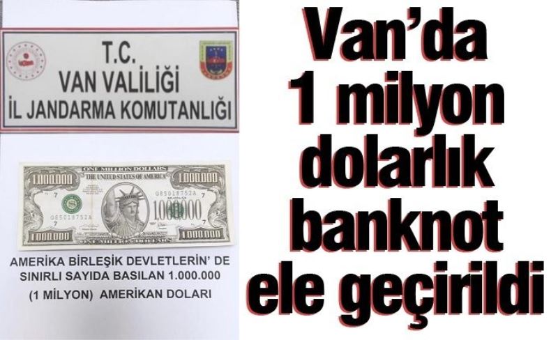 Gürpınar’da 1 milyon dolarlık banknot ele geçirildi