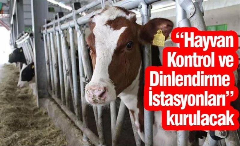 “Hayvan Kontrol ve Dinlendirme İstasyonları” kurulacak