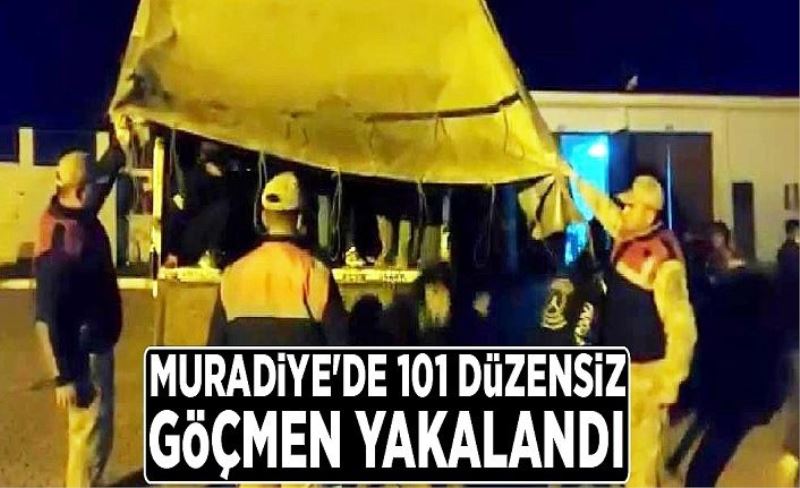 Muradiye'de 101 düzensiz göçmen yakalandı