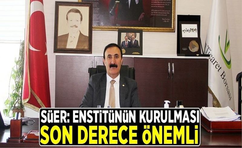 Süer: Enstitünün kurulması son derece önemli