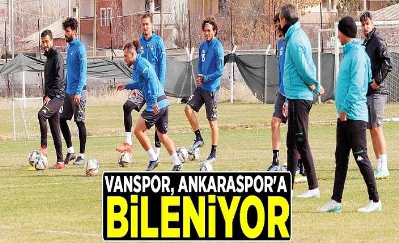 Vanspor, Ankaraspor'a bileniyor