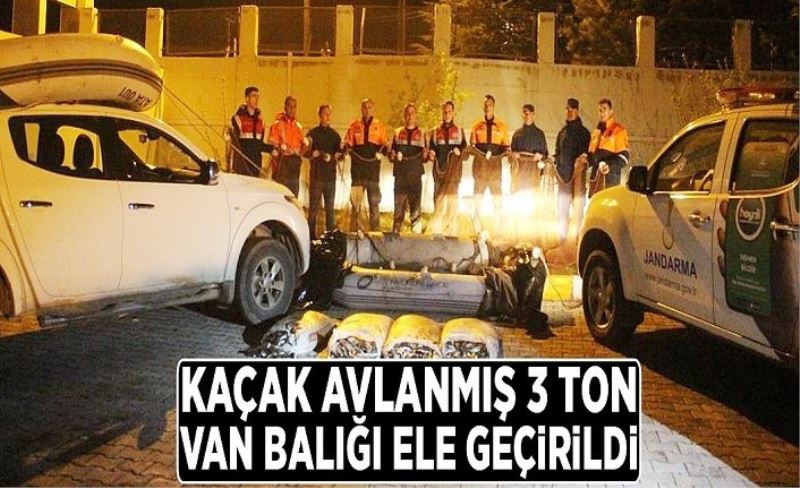 3 ton kaçak Van Balığı ele geçirildi