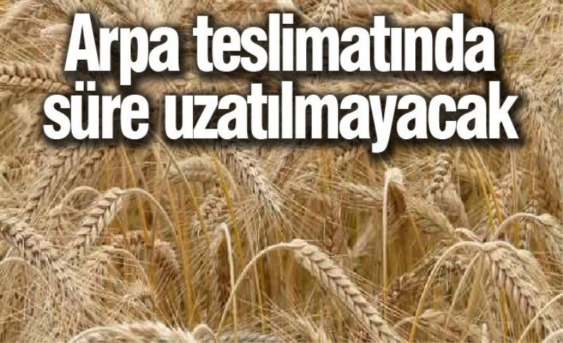 Arpa teslimatında süre uzatılmayacak