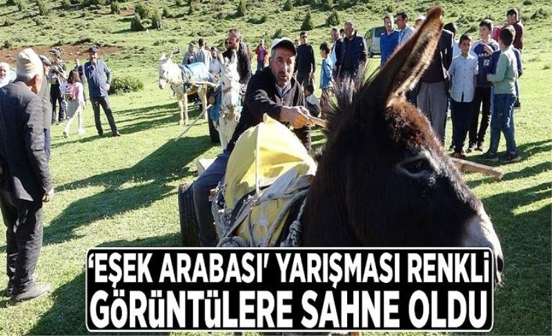 ‘Eşek Arabası' yarışması renkli görüntülere sahne oldu