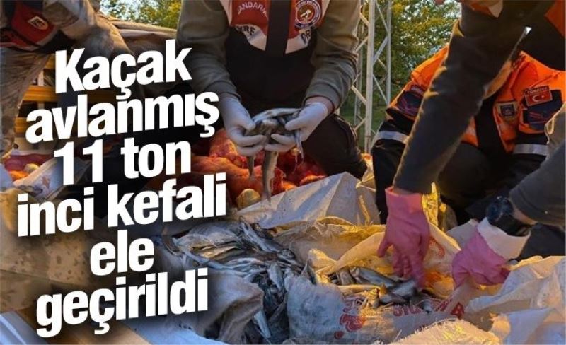 Kaçak avlanmış 11 ton inci kefali ele geçirildi