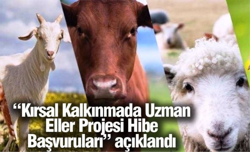 “Kırsal Kalkınmada Uzman Eller Projesi Hibe Başvuruları” açıklandı