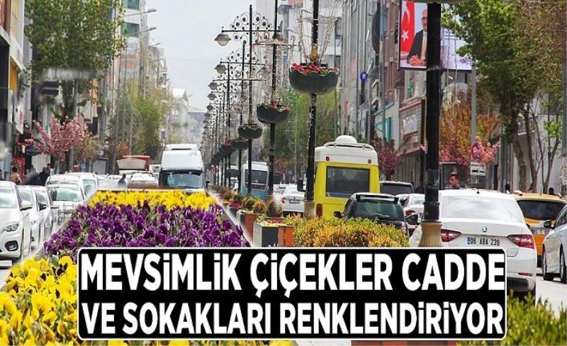 Mevsimlik çiçekler cadde ve sokakları renklendiriyor