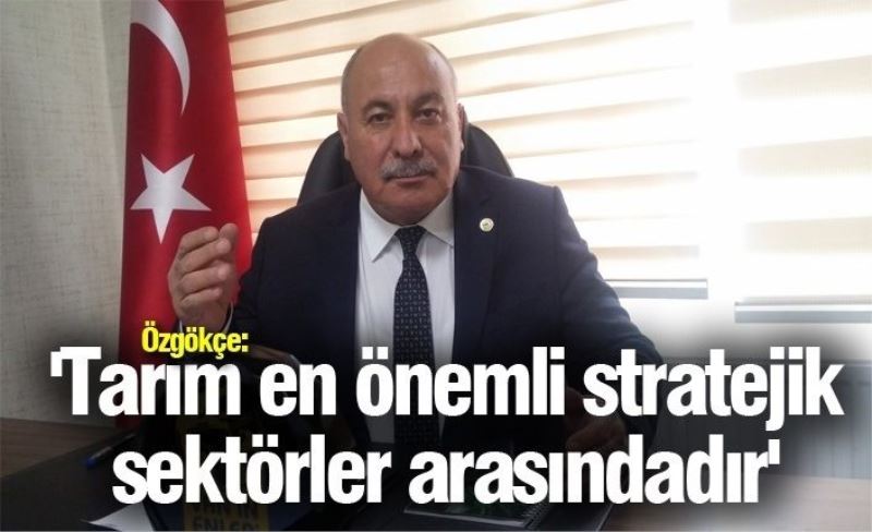 Özgökçe: 'Tarım en önemli stratejik sektörler arasındadır'