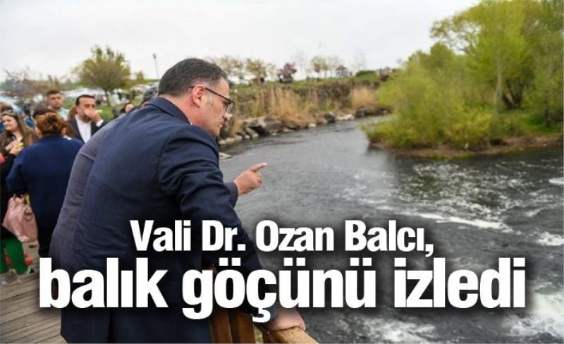 Vali Dr. Ozan Balcı, balık göçünü izledi