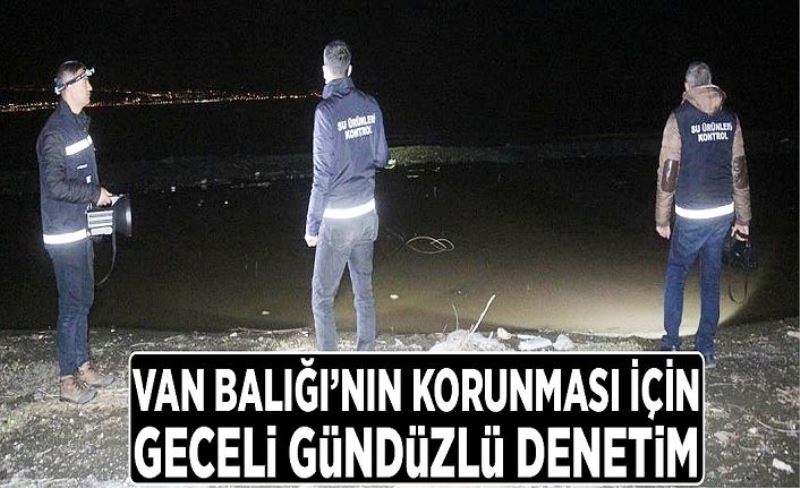 Van Balığı’nın korunması için geceli gündüzlü denetim