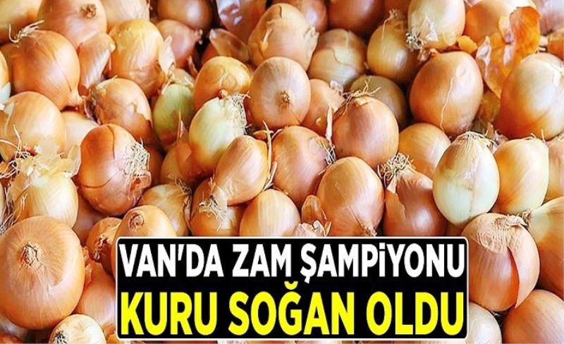 Van'da zam şampiyonu kuru soğan...