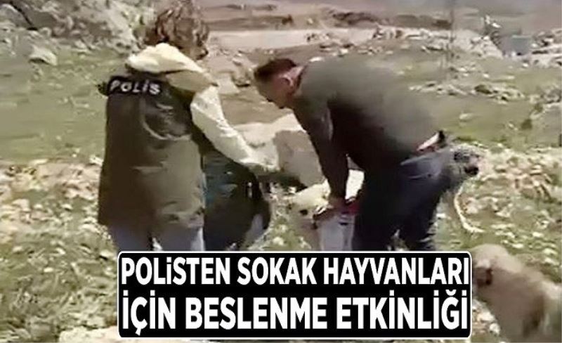 Van Polisi'nden sokak hayvanları için beslenme etkinliği