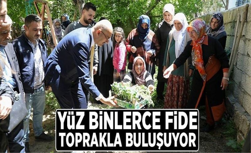 Yüz binlerce fide toprakla buluşuyor