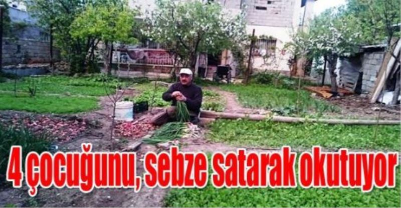 4 çocuğunu, sebze satarak okutuyor