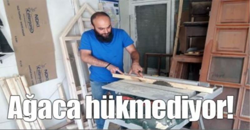 Ağaca hükmediyor!