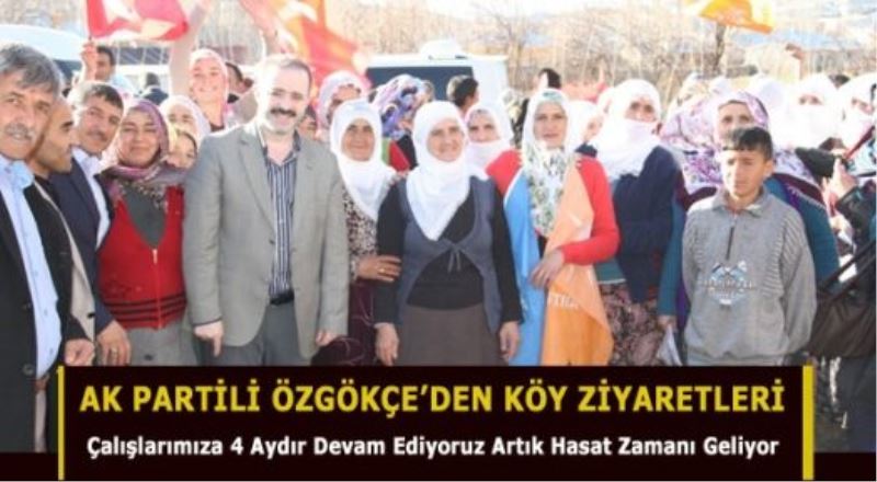 Ak Partili Özgökçe: Artık Hasat Zamanı Geliyor