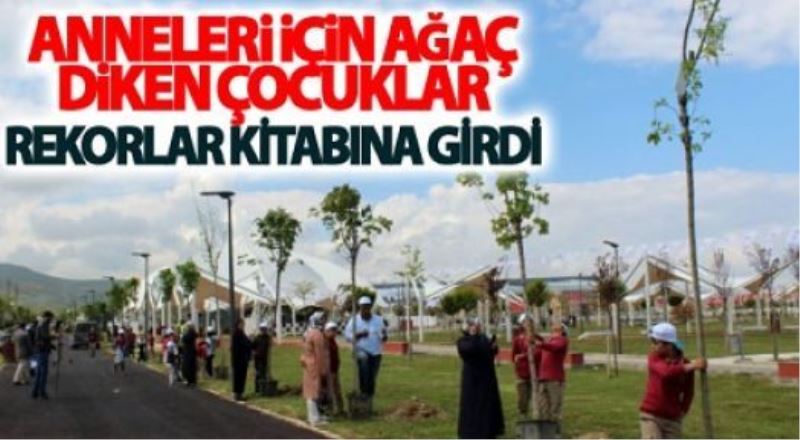 Anneleri için ağaç diken çocuklar rekorlar kitabına girdi