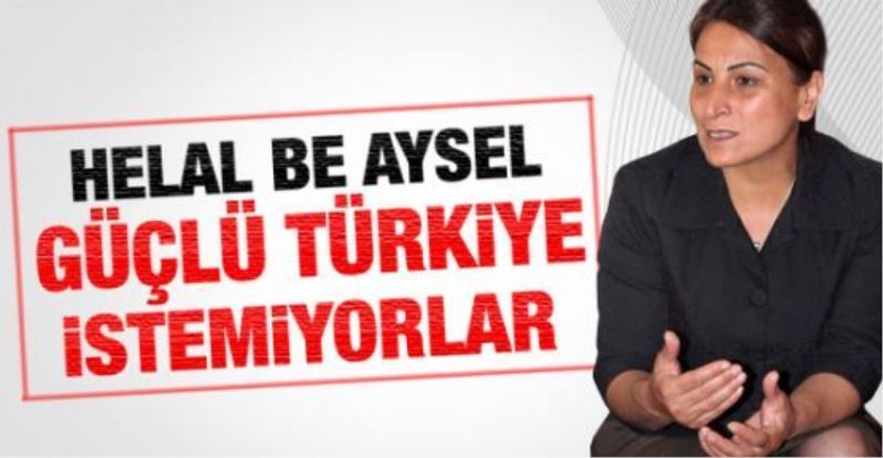 Aysel Tuğluk: Güçlü bir Türkiye istemiyorlar 