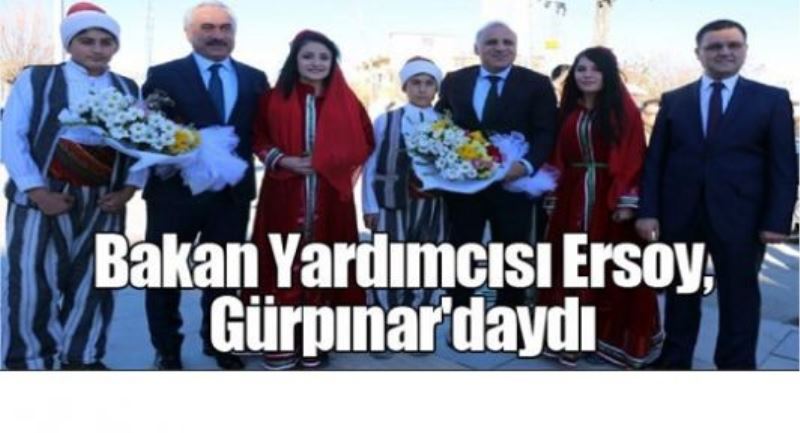 Bakan Yardımcısı Ersoy, Gürpınar