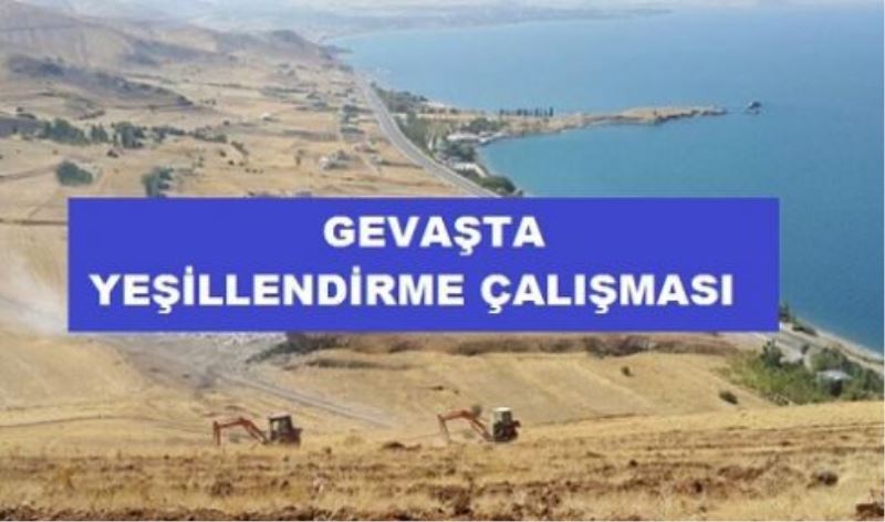 Bakanlıktan Gevaş’ta yeşillendirme çalışması…