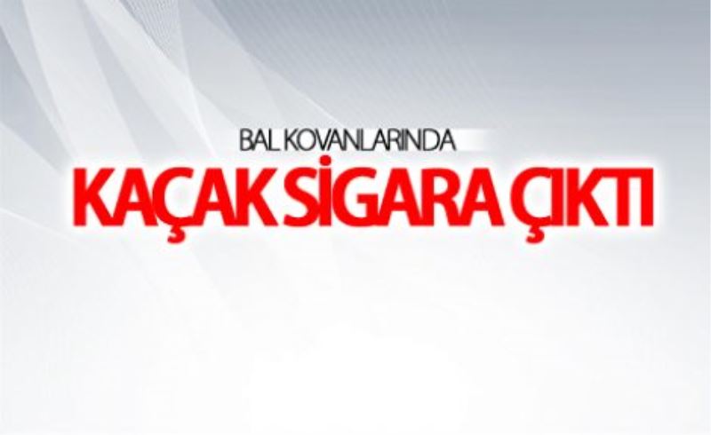 Bal kovanlarında kaçak sigara ele geçirildi