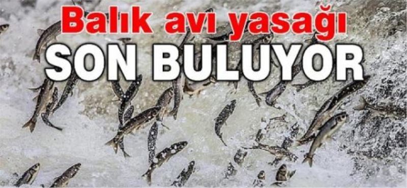 Balık avı yasağı son buluyor