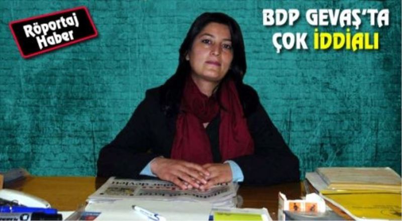 BDP Gevaş Eş Başkanları İddialı: Gevaş