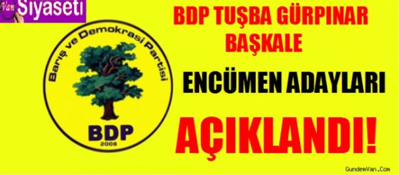 BDP Tuşba, Gürpınar Ve Başkale Encümen Adayları Açıklandı