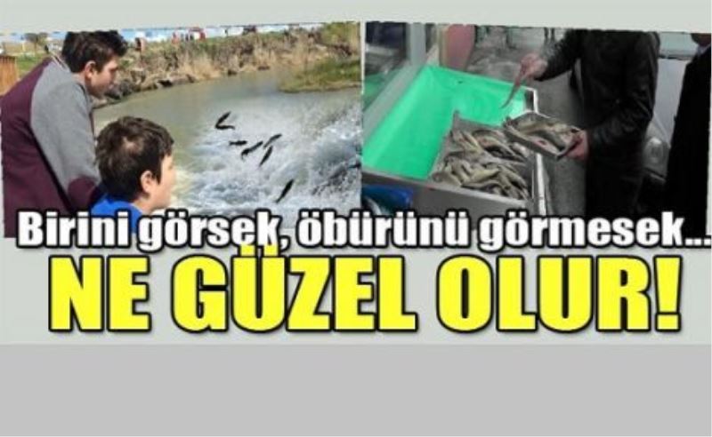 Birini görsek, öbürünü görmesek...