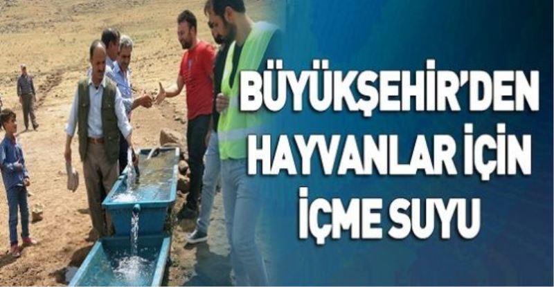 BÜYÜKŞEHİR’DEN HAYVANLAR İÇİN İÇME SUYU