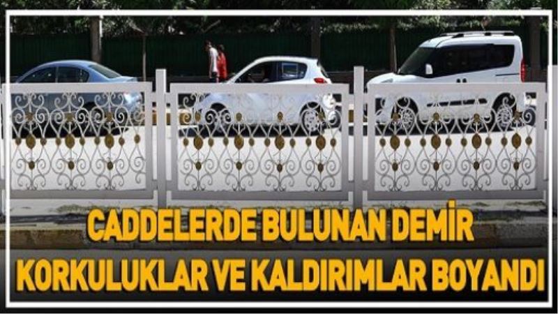 CADDELERDE BULUNAN DEMİR KORKULUKLAR VE KALDIRIMLAR BOYANDI