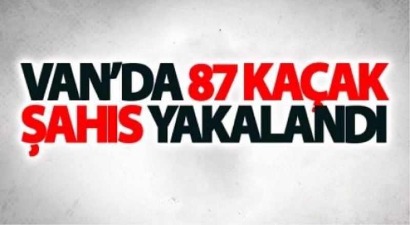 Çaldıran ve Başkale’de 87 kaçak şahıs yakalandı