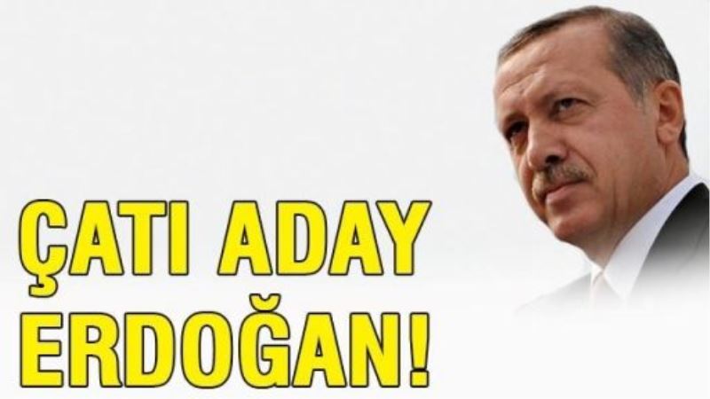 Çatı aday Erdoğan!