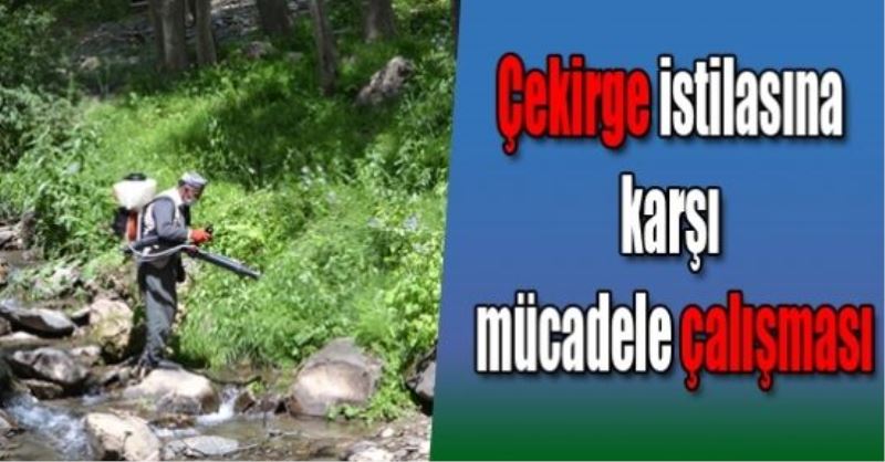 Çekirge istilasına karşı mücadele çalışması