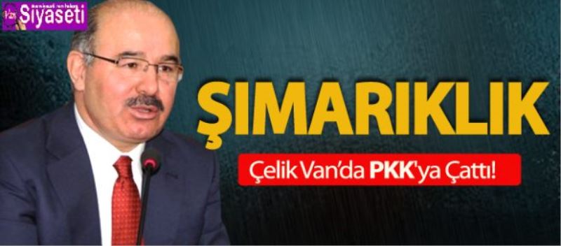 ÇELİK: PKK BÜYÜK BİR ŞIMARIKLIK İÇERİSİNE GİRMİŞTİR