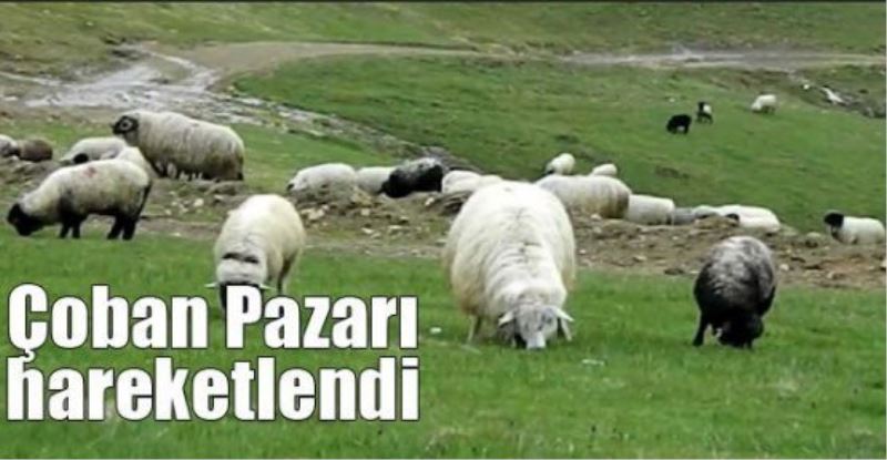 Çoban Pazarı hareketlendi