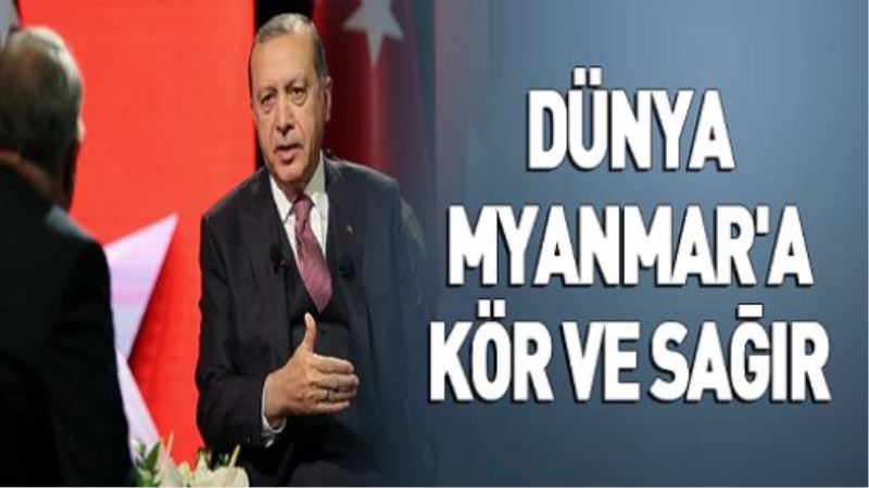 Cumhurbaşkanı Erdoğan: Dünya Myanmar