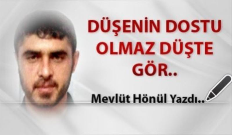 Düşenin Dostu Olmaz Düşte Gör..