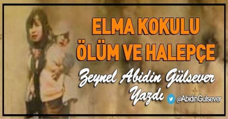 ELMA KOKULU ÖLÜM VE HALEPÇE