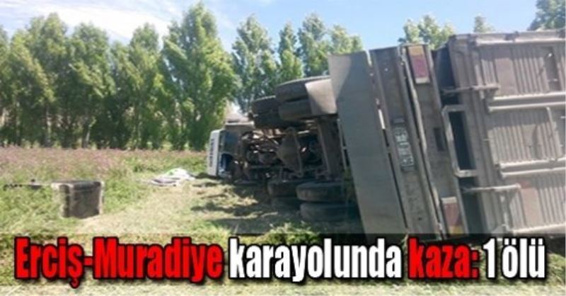 Erciş-Muradiye karayolunda kaza: 1 ölü