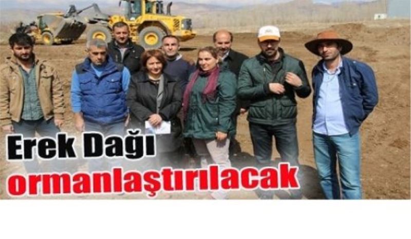 Erek Dağı ormanlaştırılacak