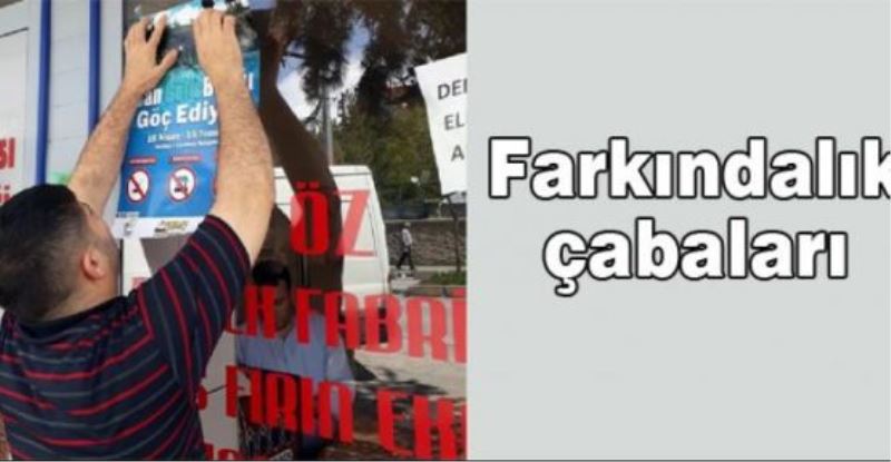 Farkındalık çabaları