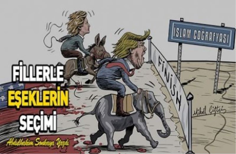 Fillerle eşeklerin seçimi