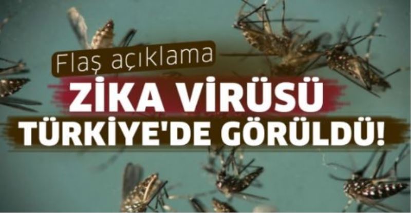 Flaş açıklama! Zika virüsü Türkiye