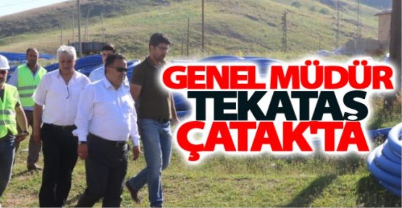 Genel Müdür Tekataş, Çatak’ta incelemelerde bulundu