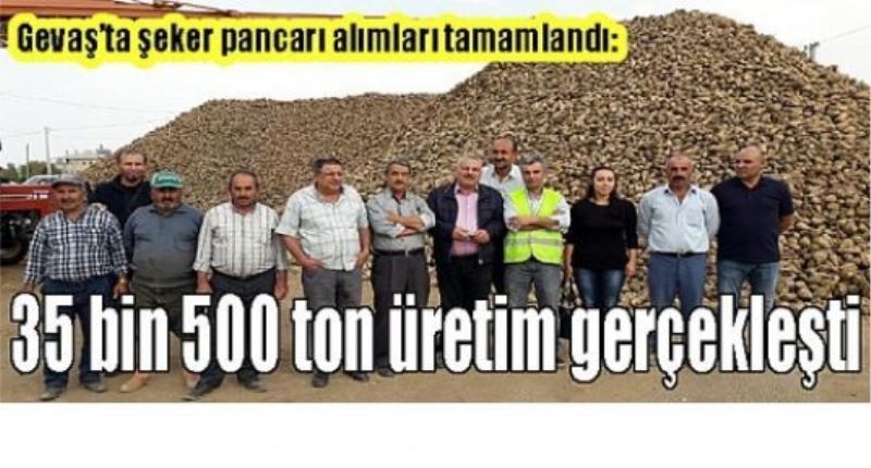 Gevaş’ta şeker pancarı alımları tamamlandı: 35 bin 500 ton üretim gerçekleşti