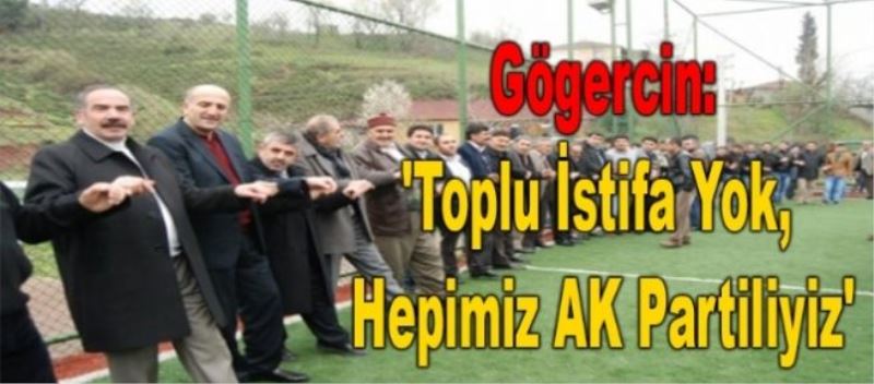 Gögercin: