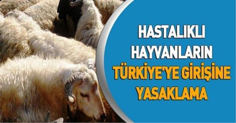 Hastalıklı hayvanların Türkiye