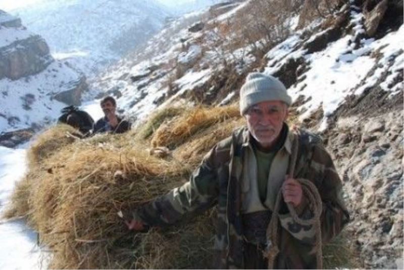 Hayvan Besleyen Köylülerin Karda Ot Taşıma Çilesi