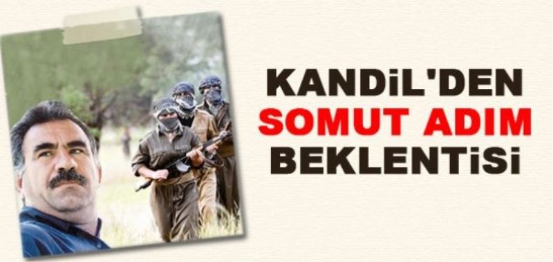 HDP heyeti Kandil